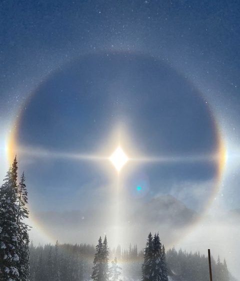 Real-world sundog photograph: a full 22 degree halo arcs through a snow-laden conifer forest with a bright parhelion glint at center.